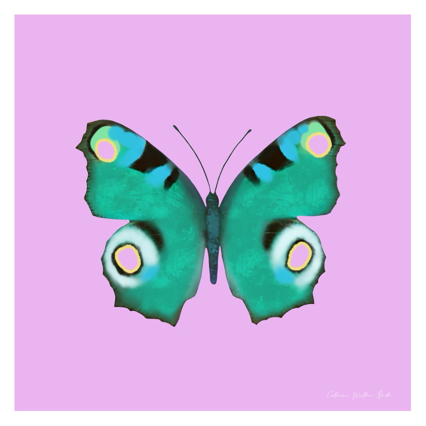 Summer butterfly