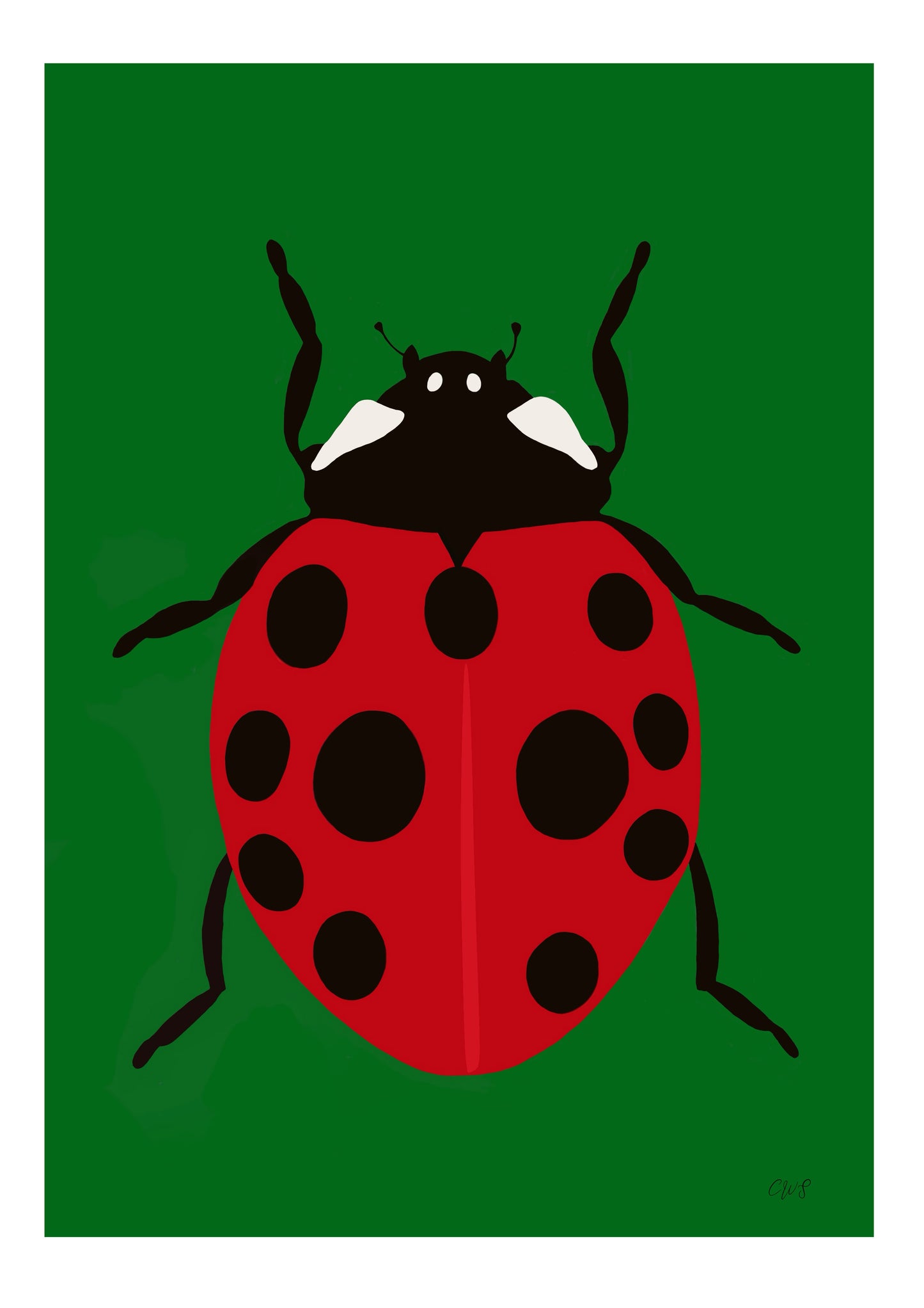 Ladybug