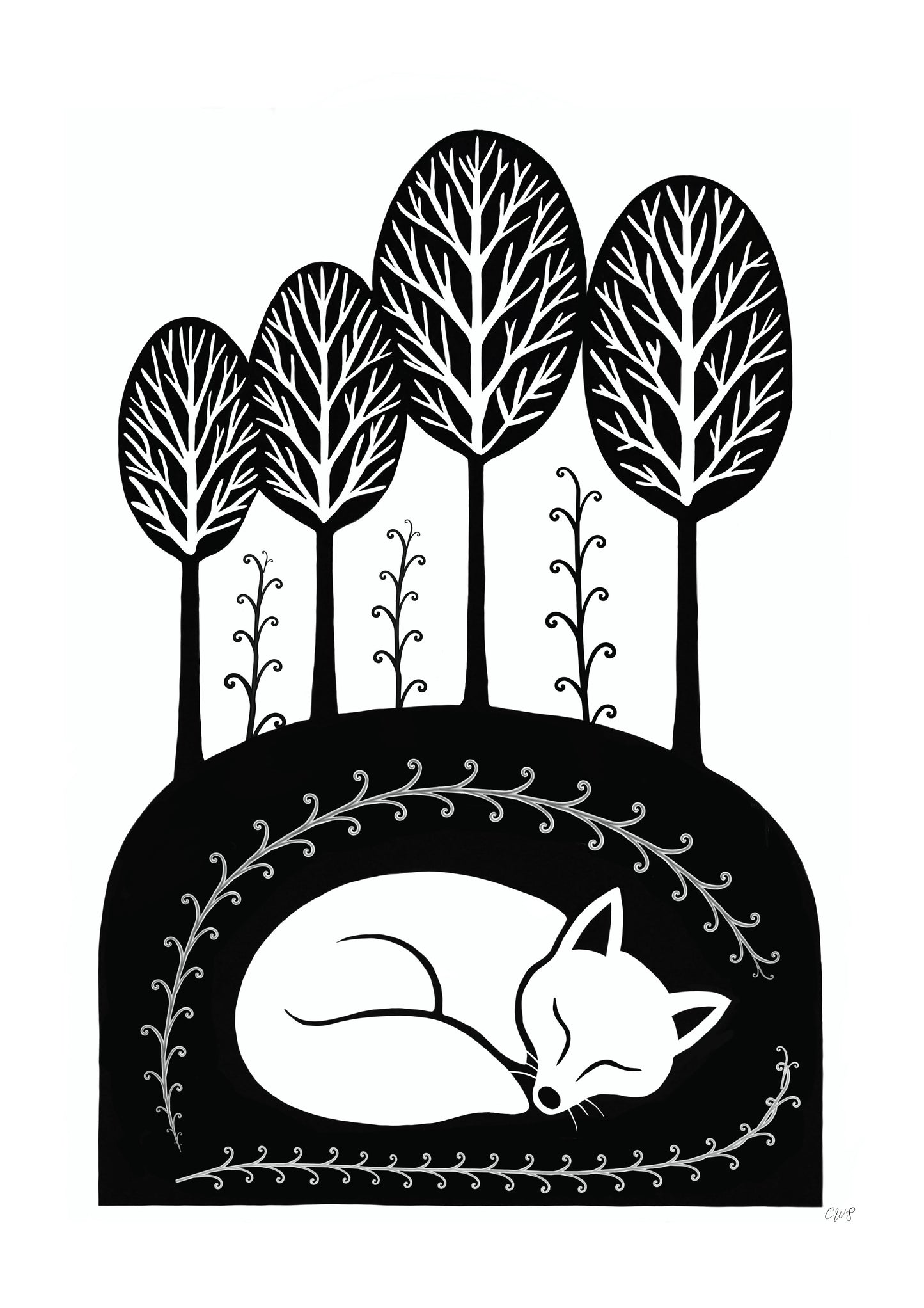 Fox in nature