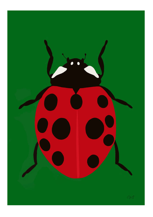 Ladybug