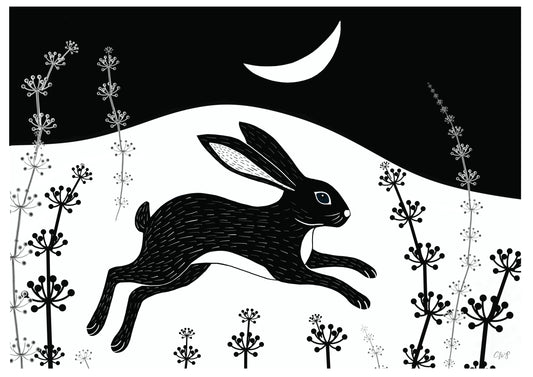 Night rabbit